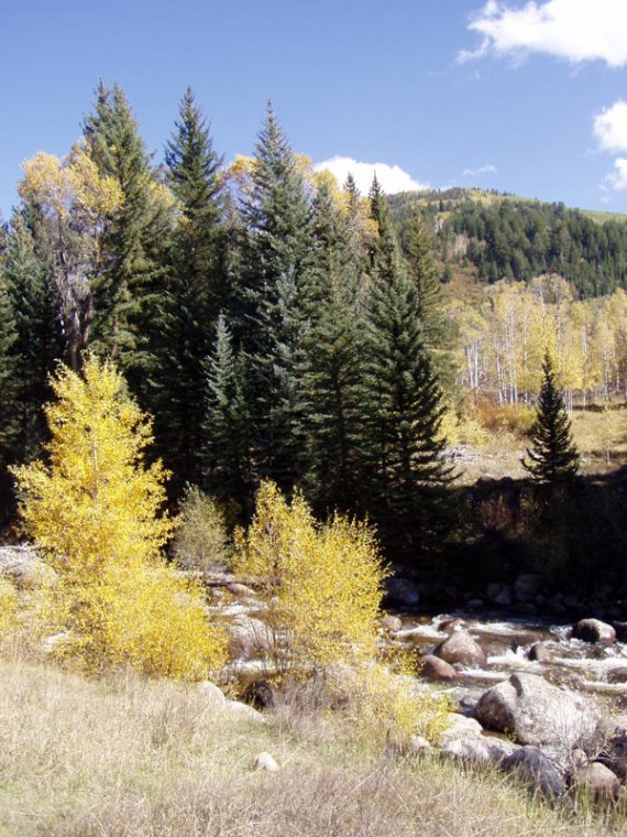 steamboat-springs-real-estae